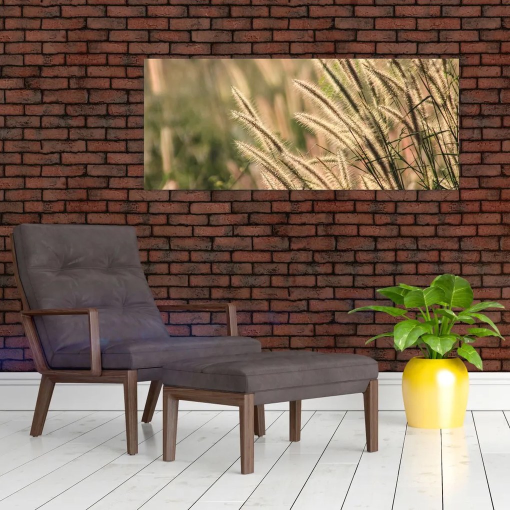 Tablou - Cereale (120x50 cm)