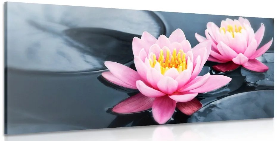 Tablou floare de lotus pe lac