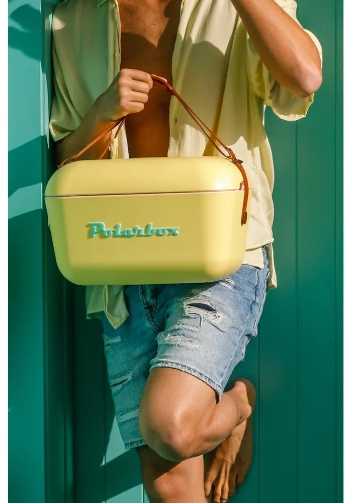 Cutie termoizolantă mov 20 l Classic Rainbow – Polarbox