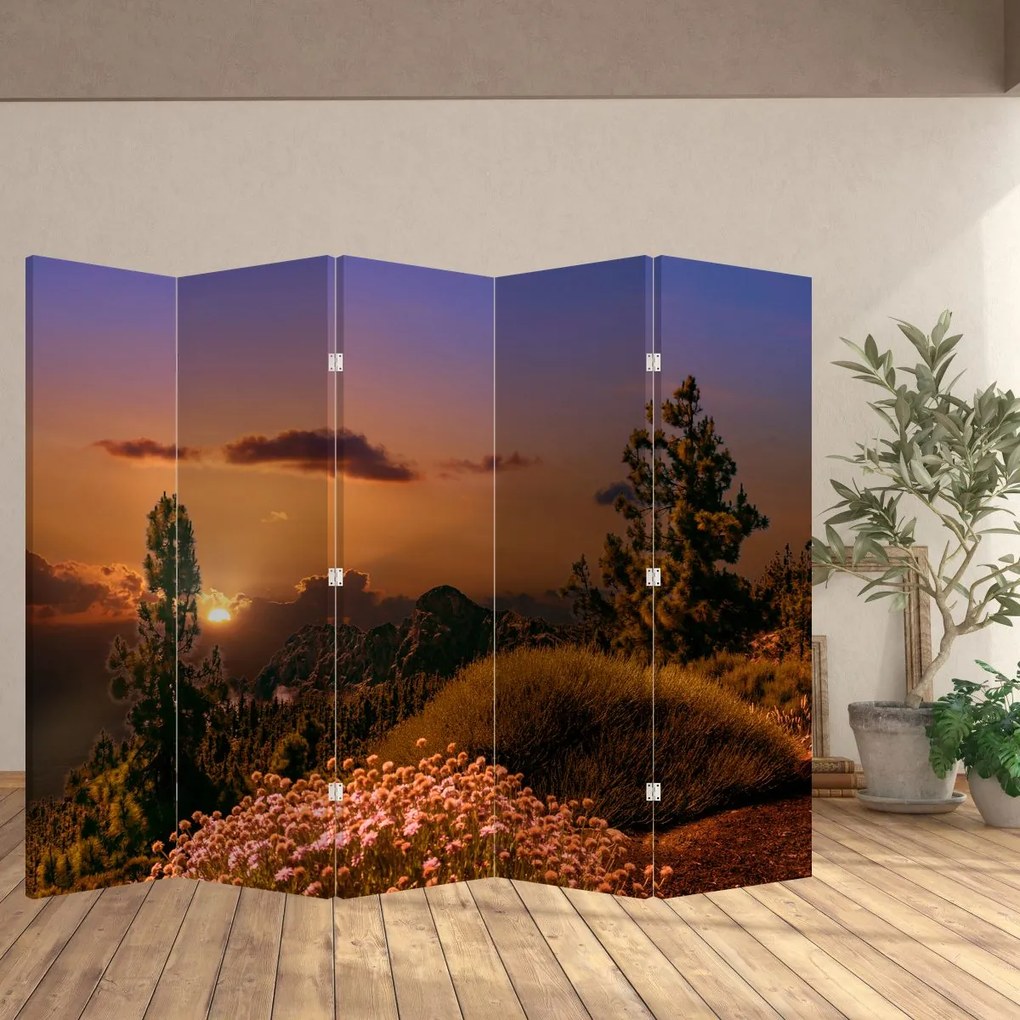 Paravan naturii - Apus de soare (210x170 cm)