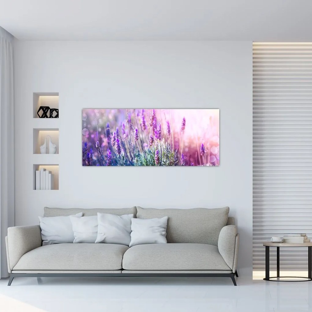Tablou - Lavandă în strălucirea soarelui (120x50 cm)