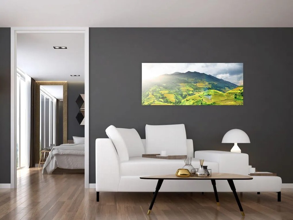 Tablou plantație (120x50 cm)