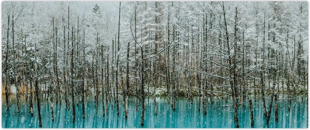 Tablou - Pescărie turcoaz, Biei, Japonia (120x50 cm)