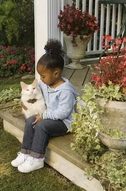 PetSafe® Deluxe Electric Cat Fence