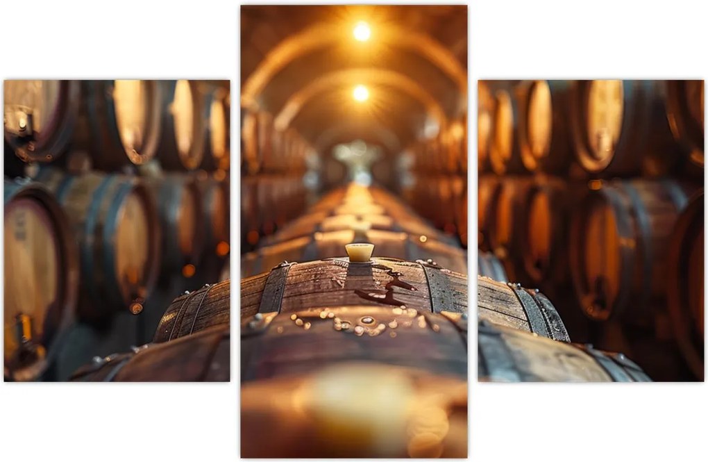 Tablou - Pivniță de vinuri (90x60 cm)