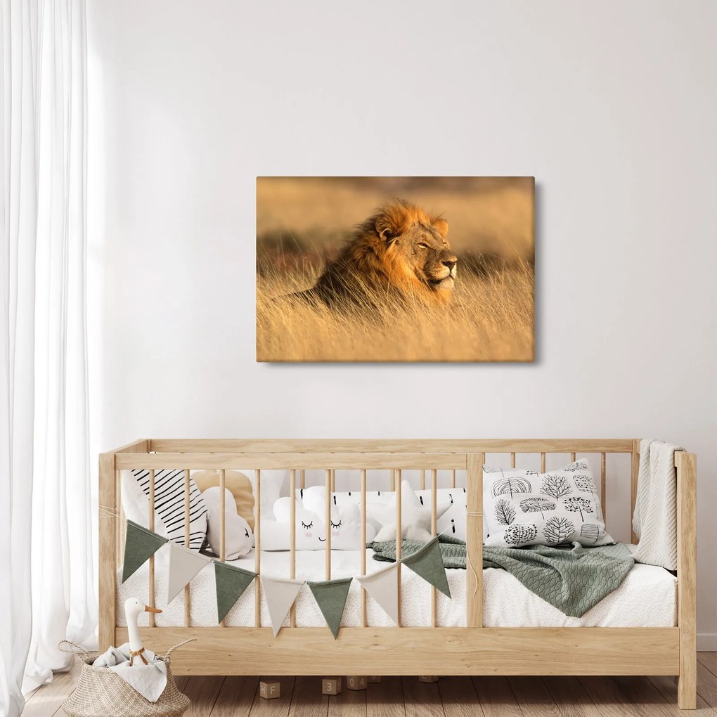 Tablou - Parcul Național Etosha (90x60 cm)