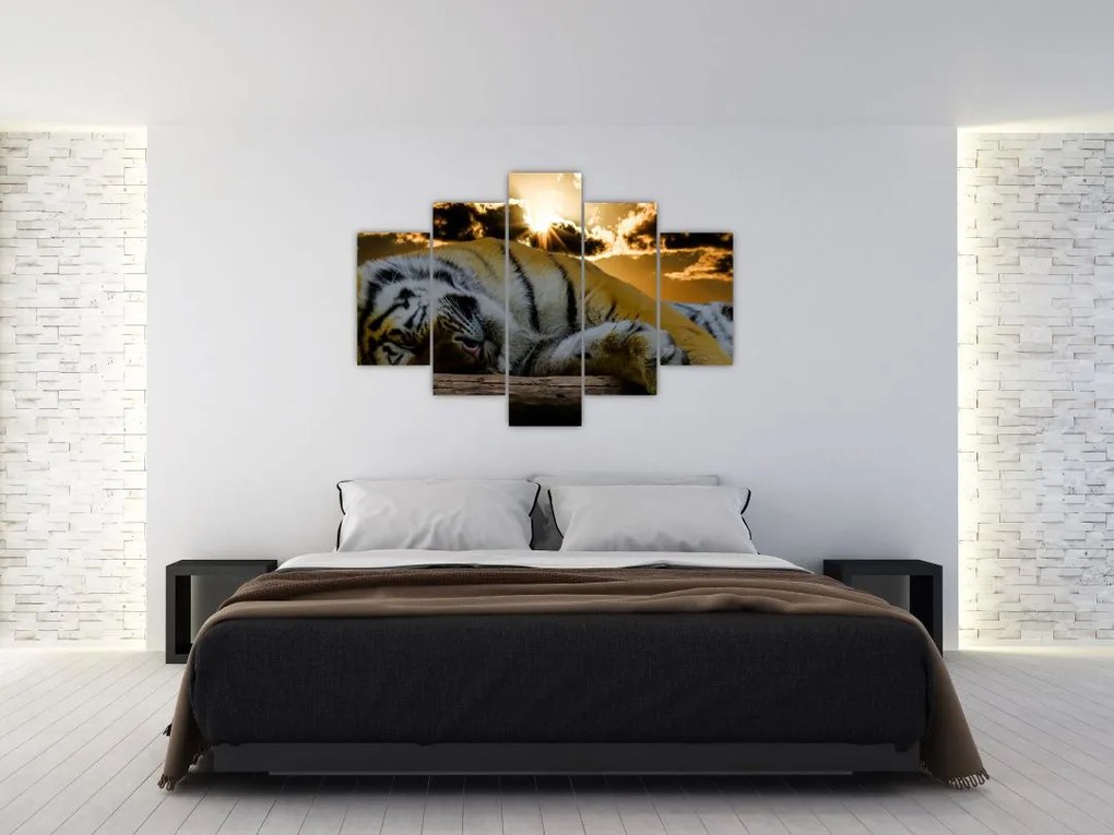 Tablou tigrul dormind (150x105 cm)