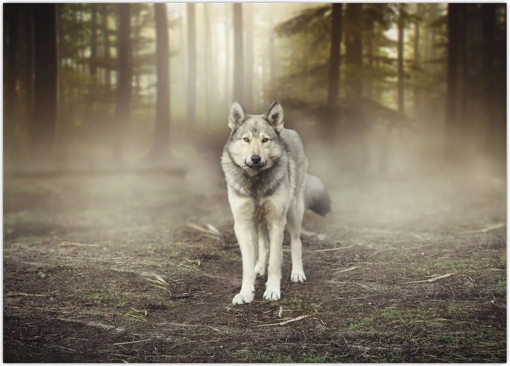 Tablou - Paznicul pădurii (70x50 cm)