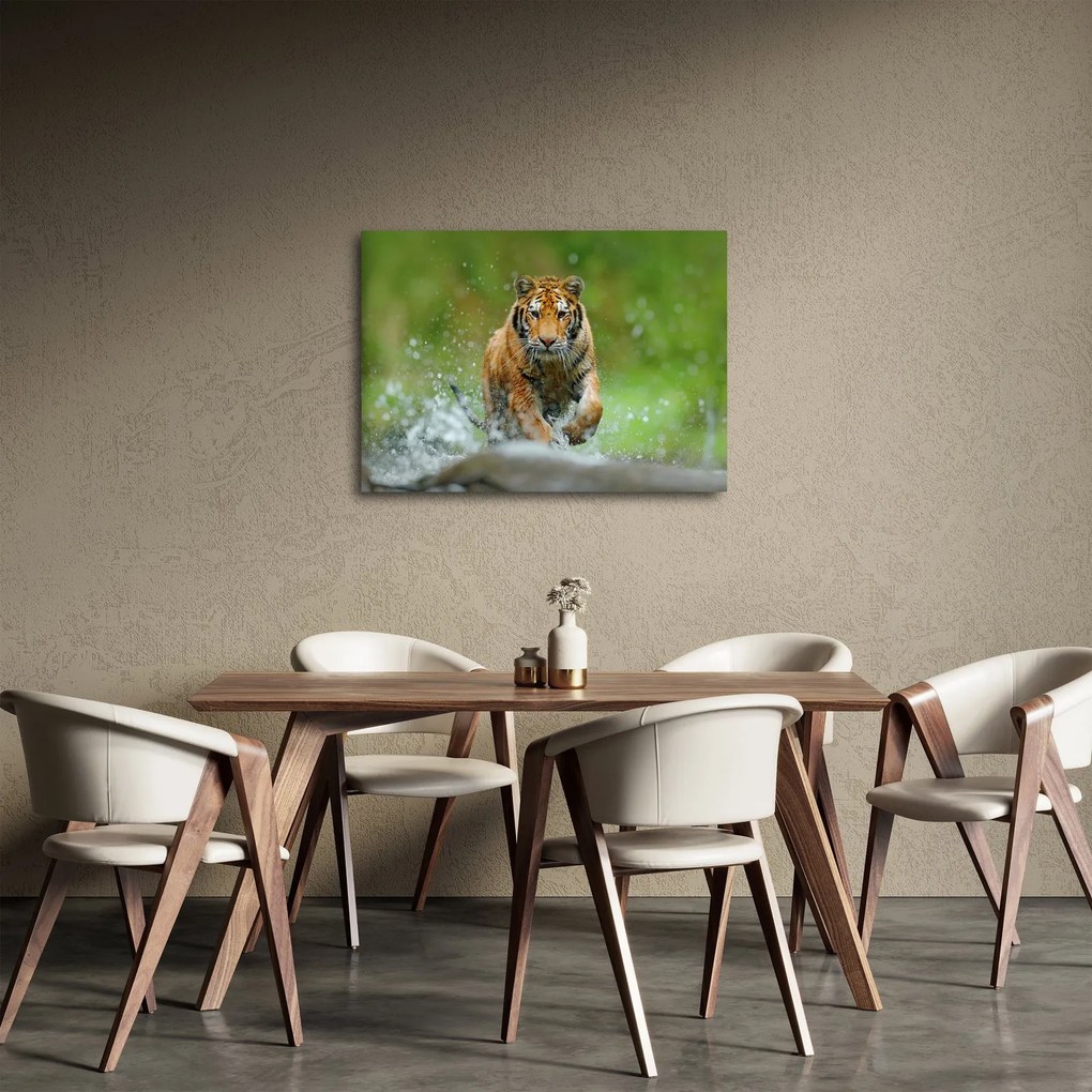 Tablou - Tigru care aleargă (70x50 cm)