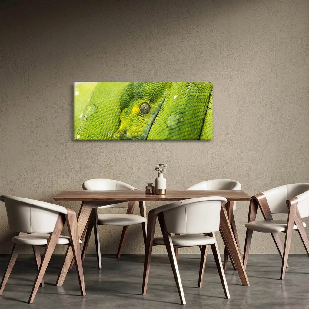 Tablou cu șarpe (120x50 cm)