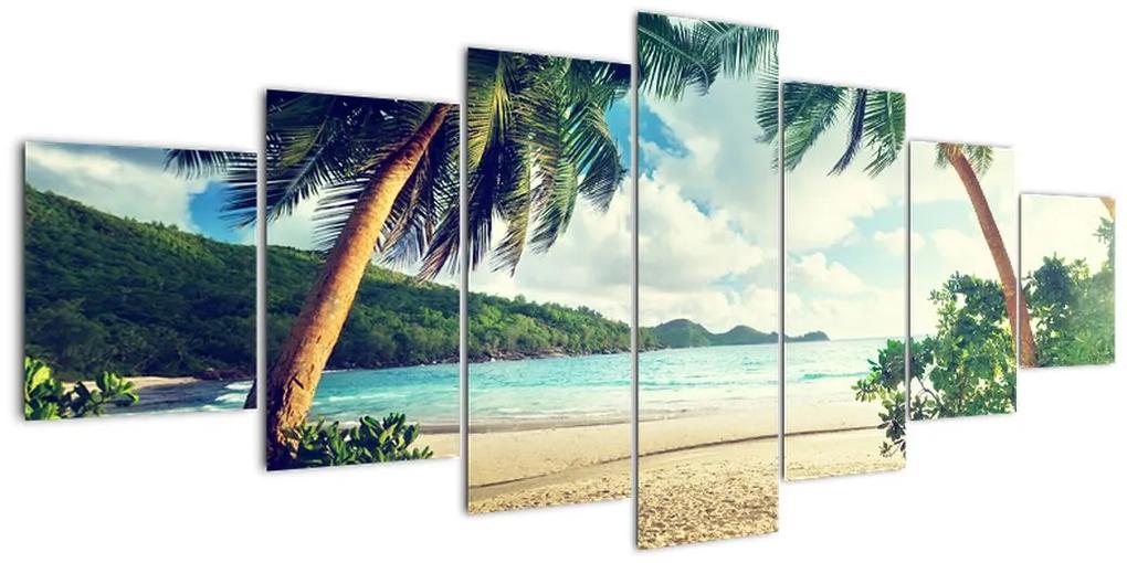 Tablou modern - palmieri pe plajă (210x100cm)