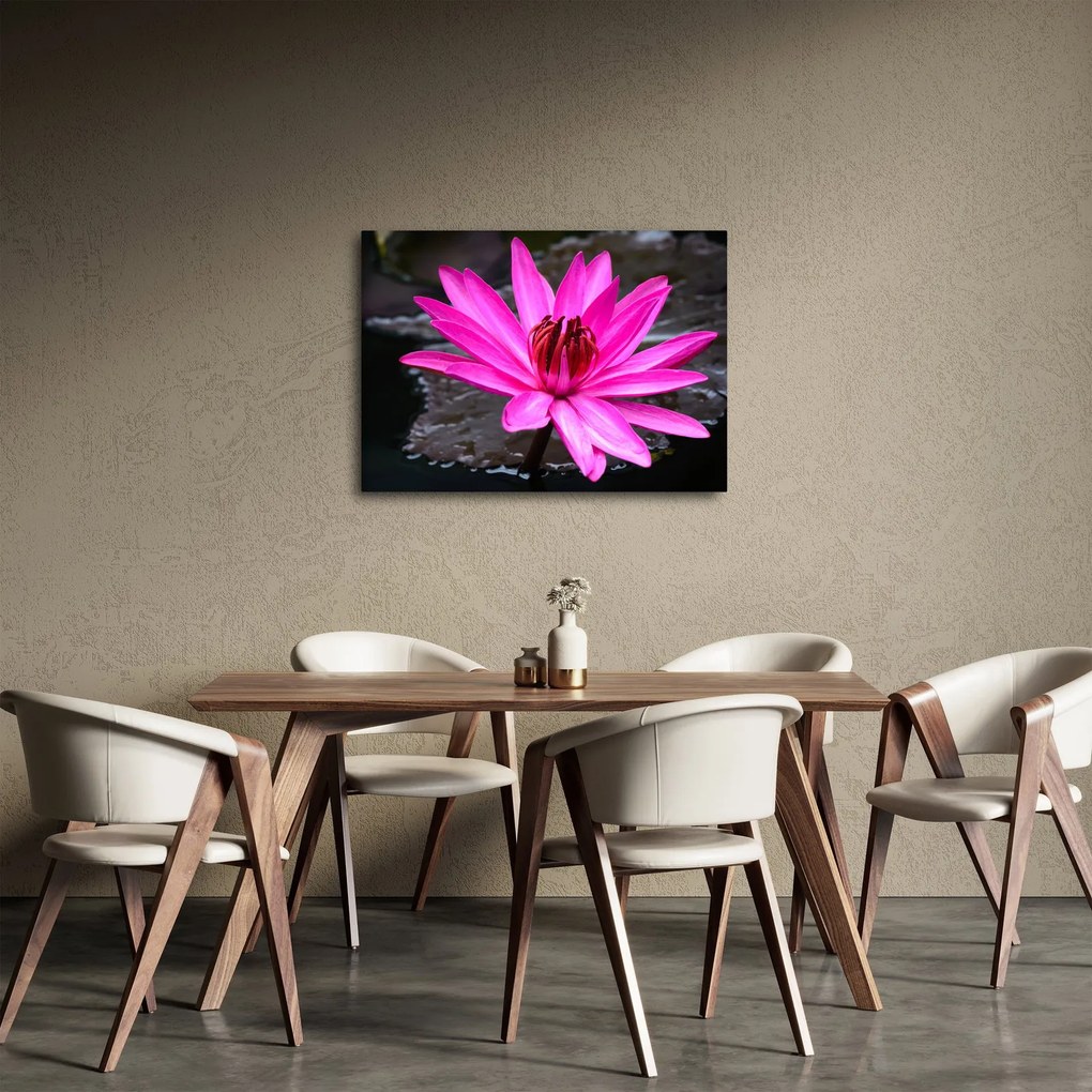 Tablou - floarea roz (70x50 cm)