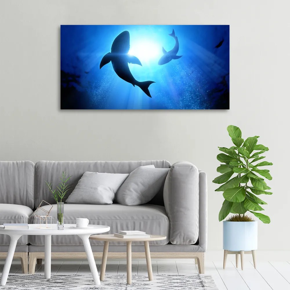 Print pe canvas Doi rechini
