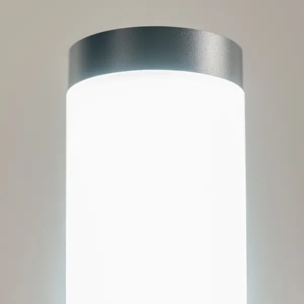 BRILAGI - Lampă LED de exterior ELIA 1xE27/7W/230V 4000K IP44 50 cm antracit