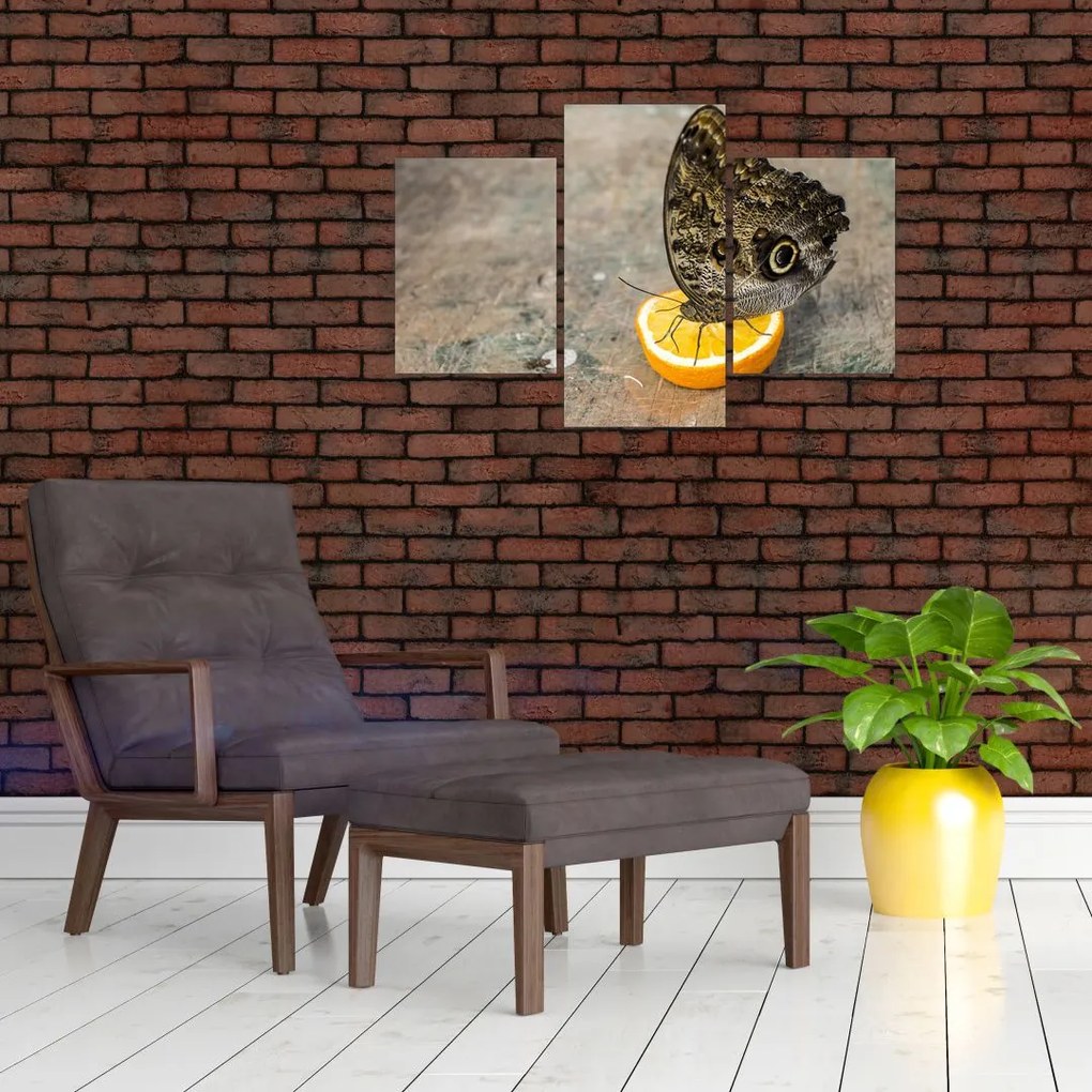 Tablou cu fluturi (90x60 cm)