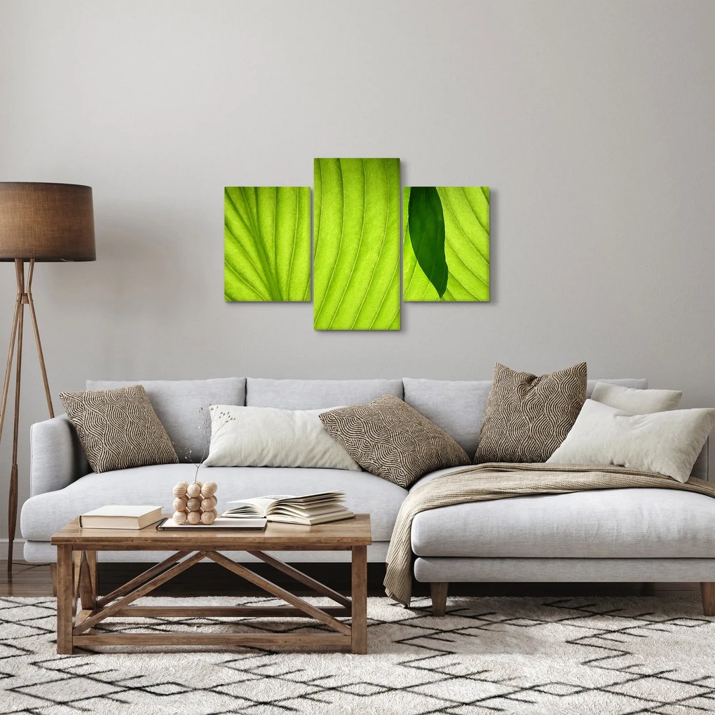 Tablou - Detaliu de frunză verde (90x60 cm)