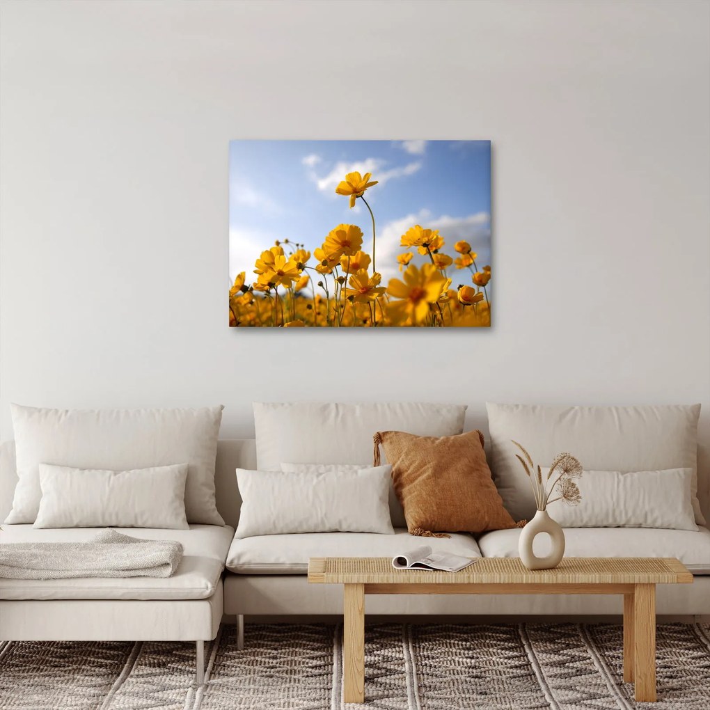 Tablou - Câmp cu flori galben deschis (70x50 cm)