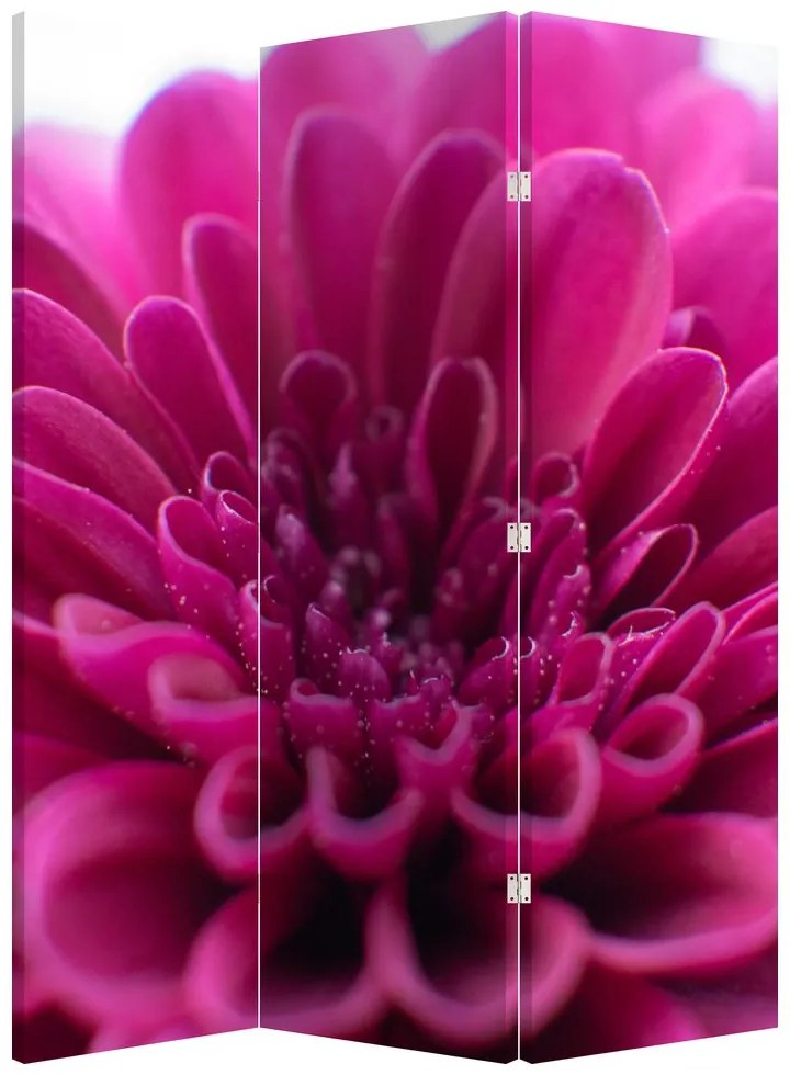 Paravan - Floare (126x170 cm)