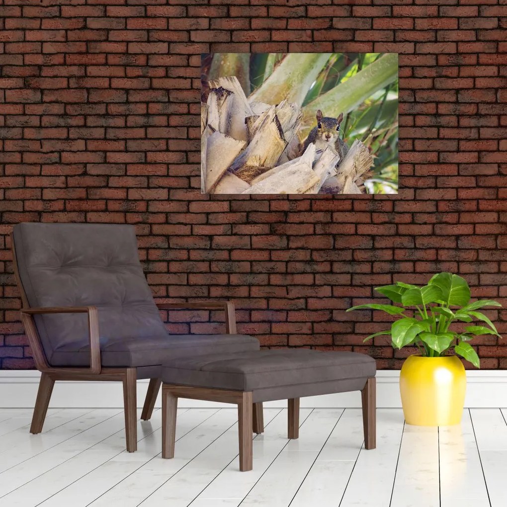 Tablou pe sticlă cu veverița în copaci (70x50 cm)