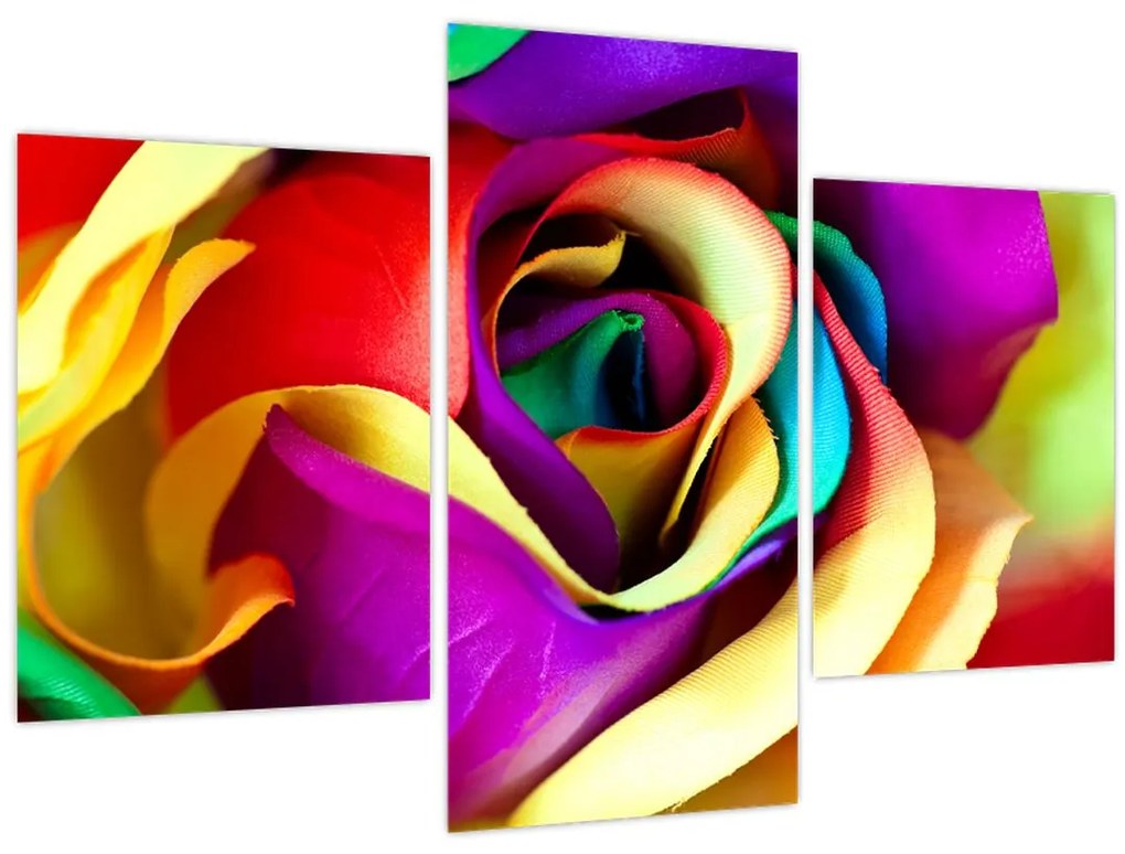 Tablou - Trandafir colorat (90x60 cm)