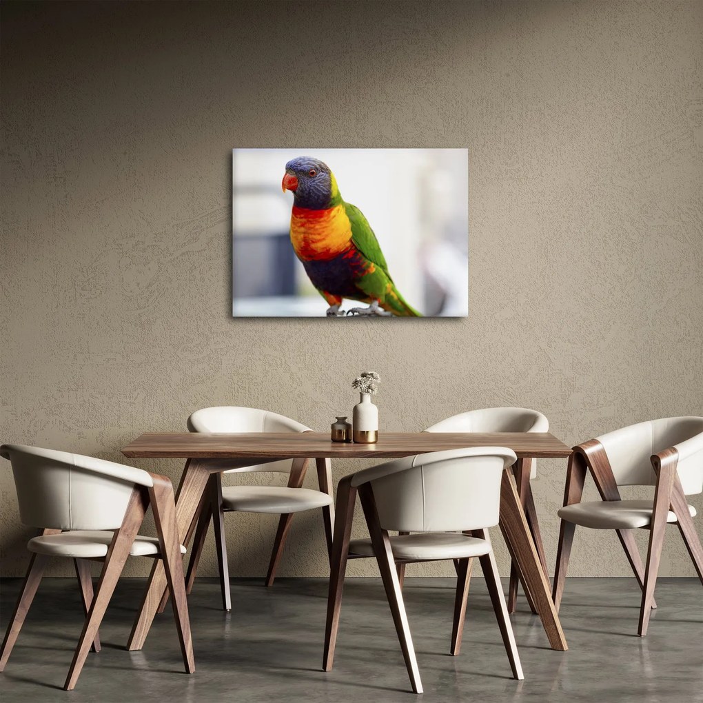 Tablou cu papagal (70x50 cm)
