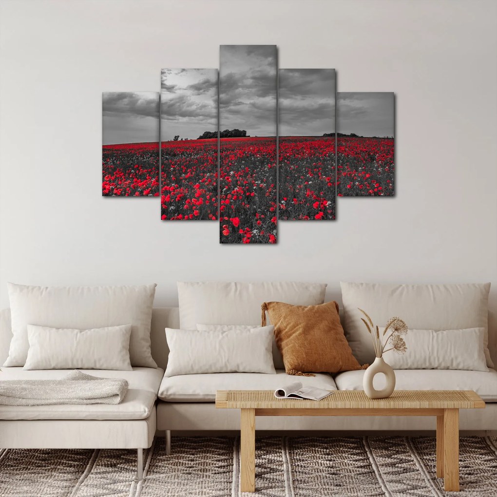 Tablou cu maci (150x105 cm)