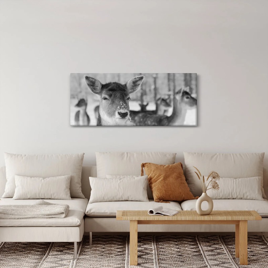 Tablou - Cerbi,alb-negru (120x50 cm)