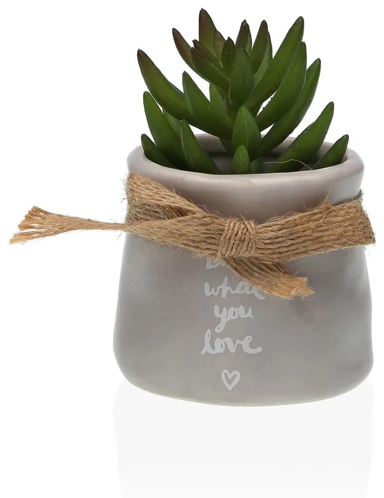 Planta decorativa din ceramica, plastic 8.89X5.59X5.59