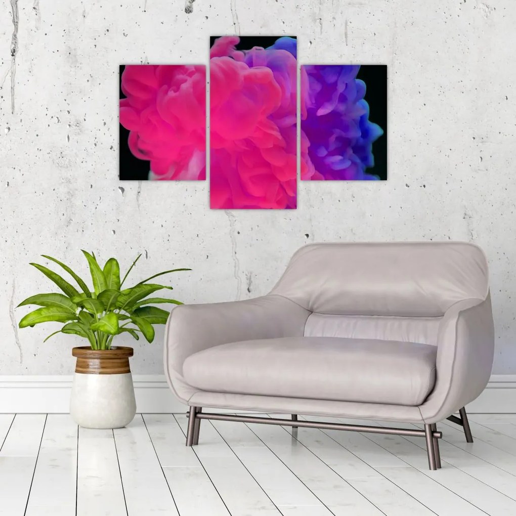 Tablou cu fum colorat (90x60 cm)