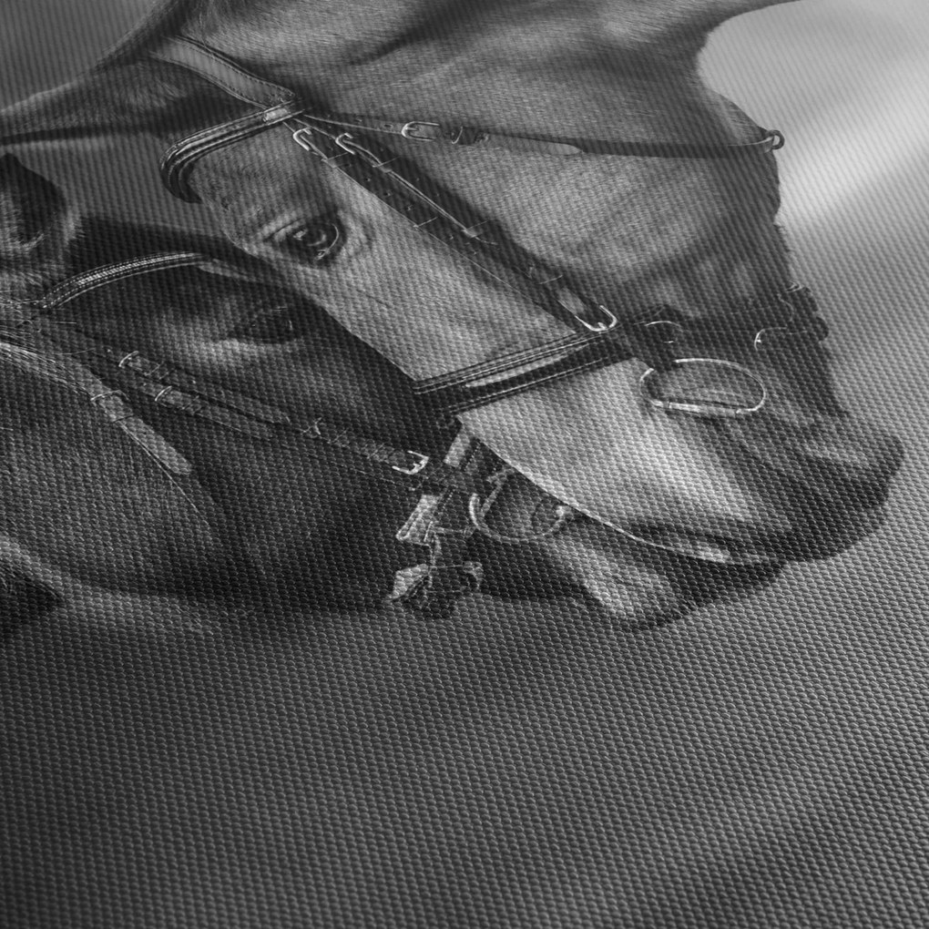 Tablou - Cai îndrăgostiți,alb-negru (90x60 cm)