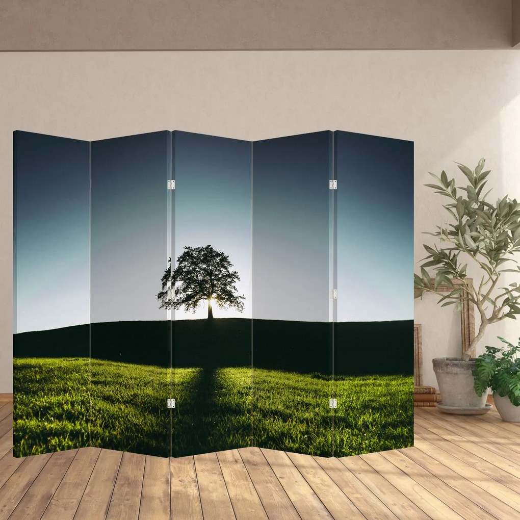 Paravan - Copac (210x170 cm)