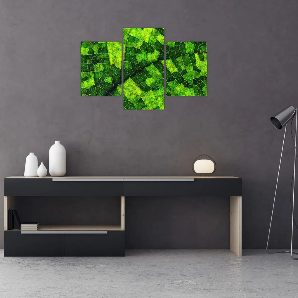Tablou - Detaliu frunze (90x60 cm)