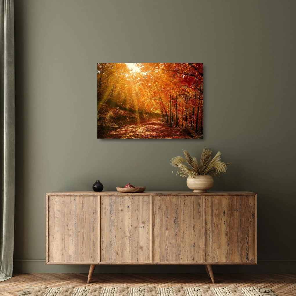 Tablou pe sticlă cu pădurea în toamnă (70x50 cm)