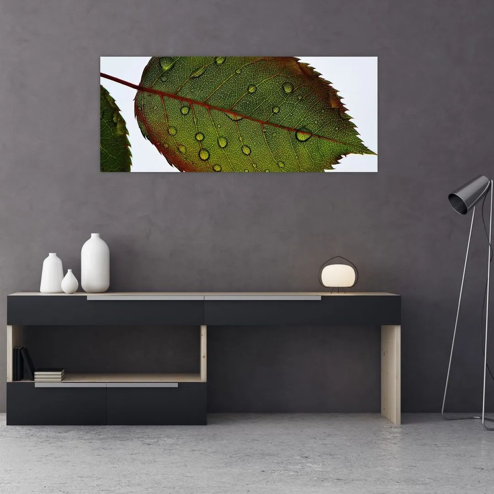 Tablou - Frunze de trandafir (120x50 cm)