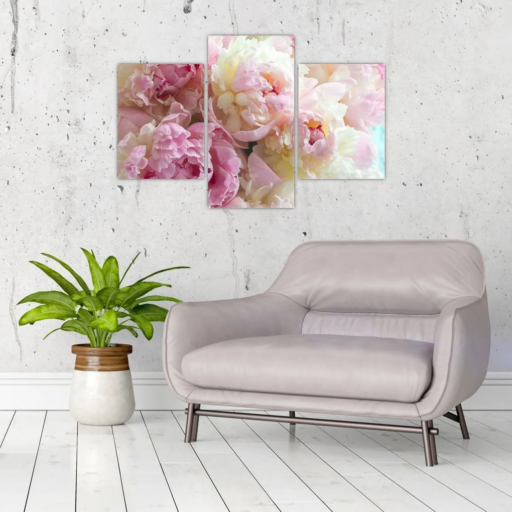 Tablou - Bujori (90x60 cm)