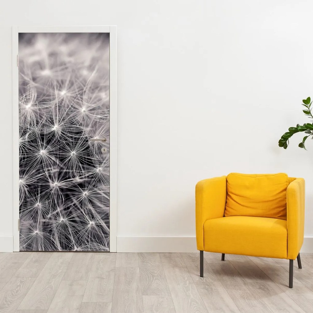 Fototapet pentru ușă - Păpădie (95x205cm)