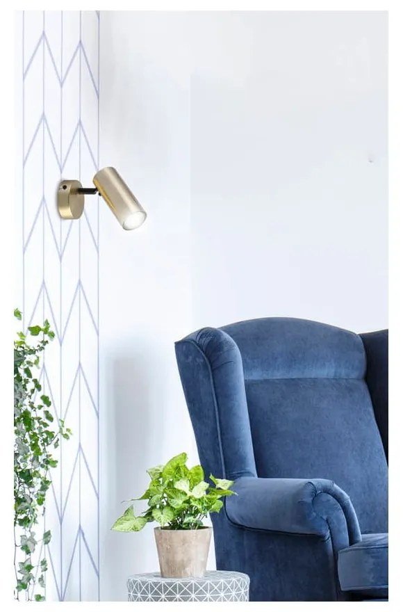 Spot auriu din metal 8x16 cm Colly – Candellux Lighting