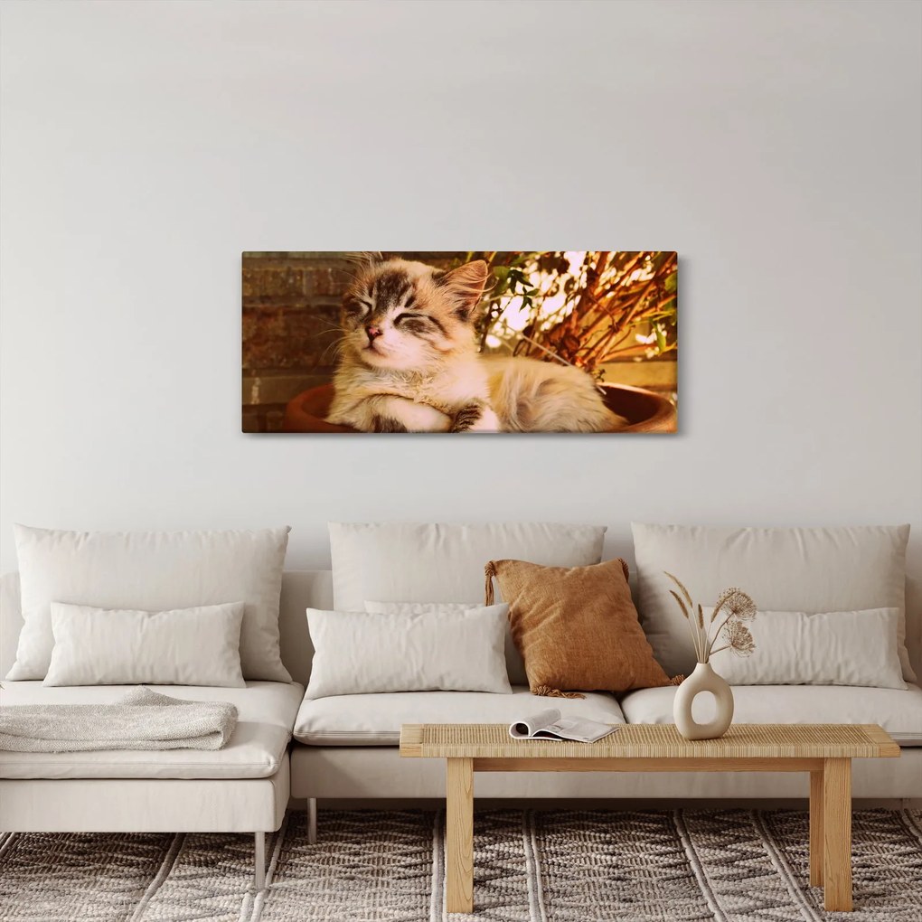 Tablou cu pisica în ghiveci (120x50 cm)