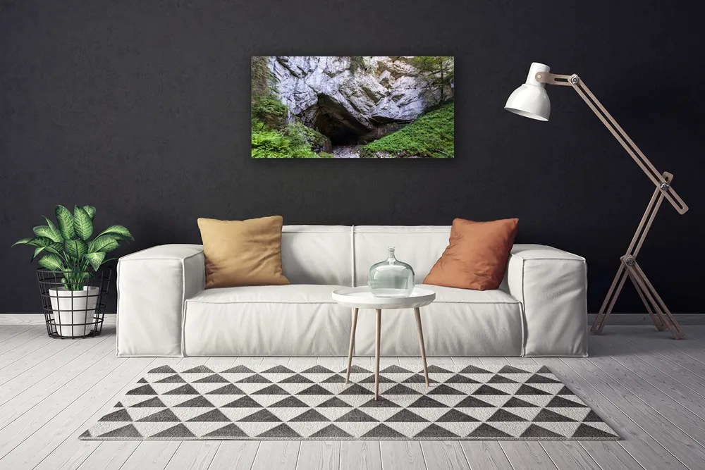 Tablou pe panza canvas Munte Cave Natura Verde Gri