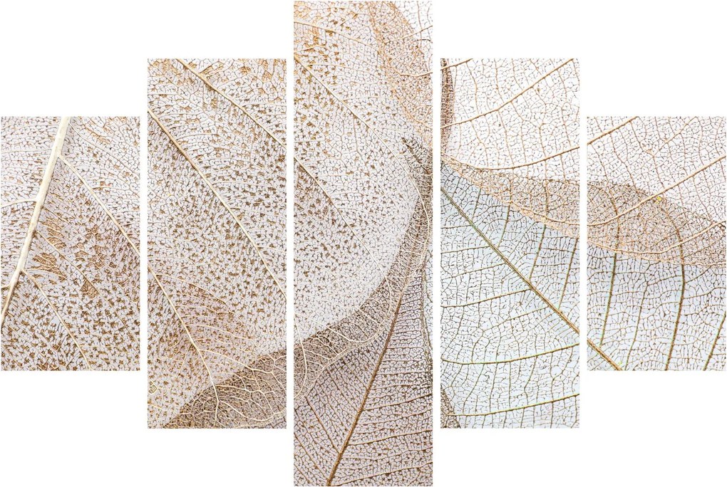Tablou - Frunze bej (150x105 cm)