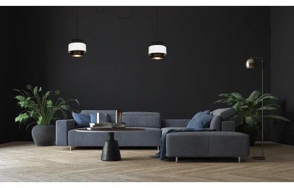 Lustră pe cablu NESS 2xE27/60W/230V neagră/albă