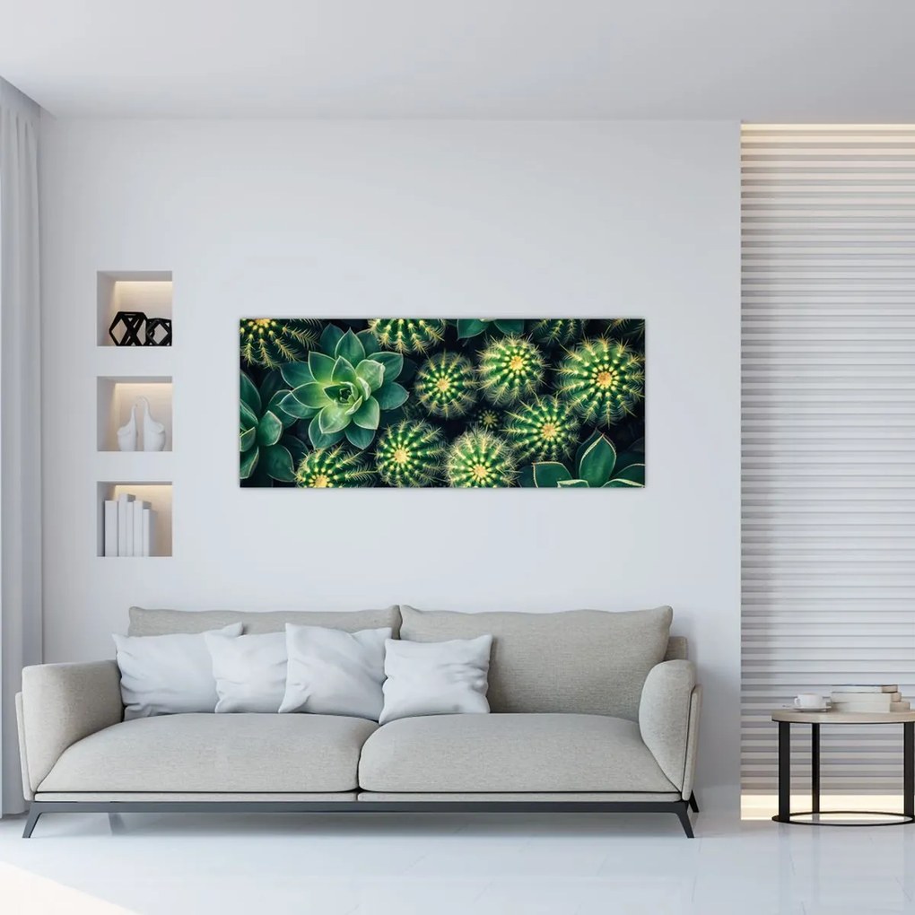 Tablou - Cactuși (120x50 cm)