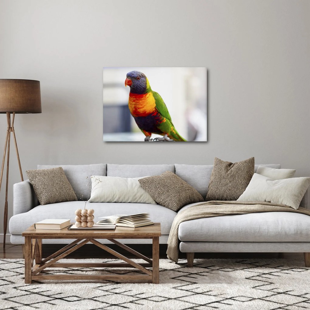 Tablou cu papagal (70x50 cm)