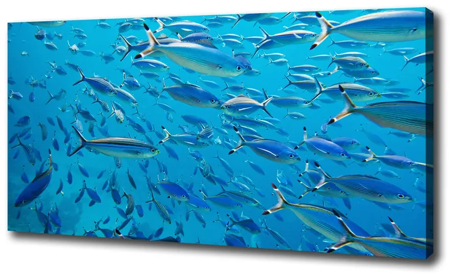 Print pe canvas Pește coral
