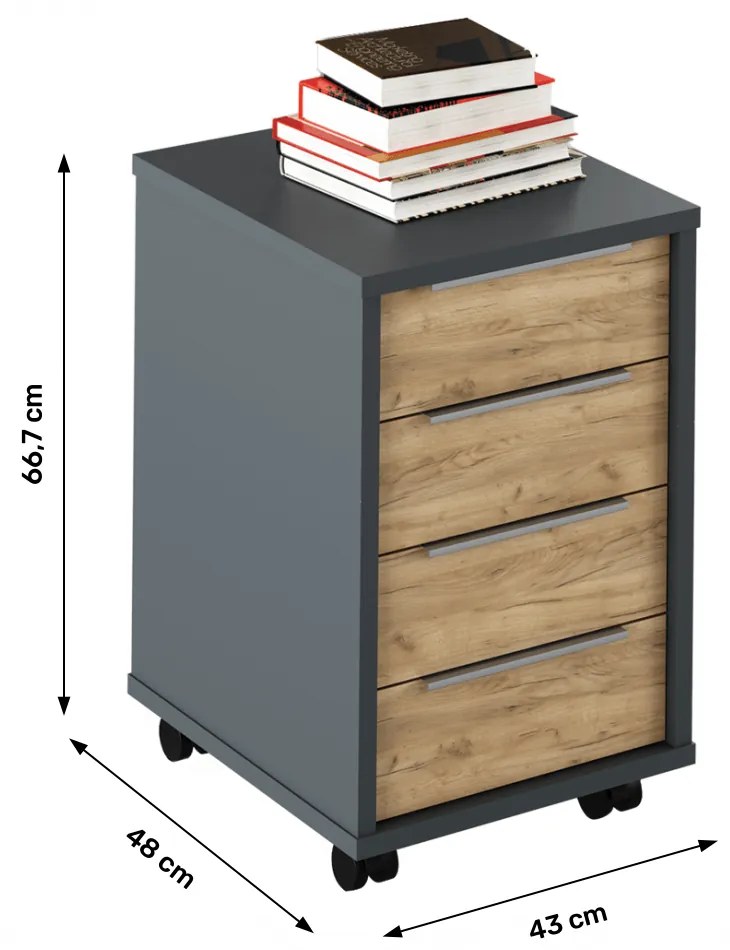 Container, grafit/stejar artisan, RIOMA NEW TYP 14