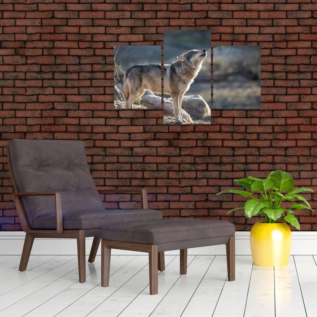 Tablou - Lupul urlător (90x60 cm)