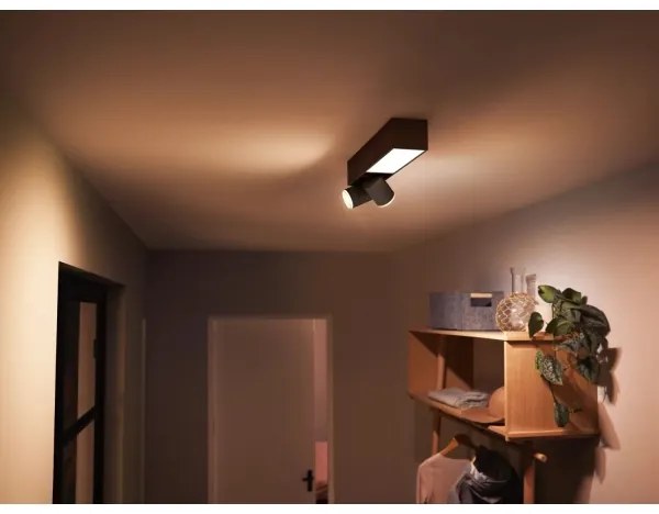 Philips LED RGBW Hue CENTRIS spot reglabil 2xGU10/4,2W + LED/11W