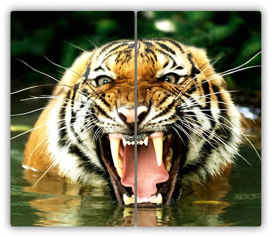 Tocator din sticla Roaring tigru