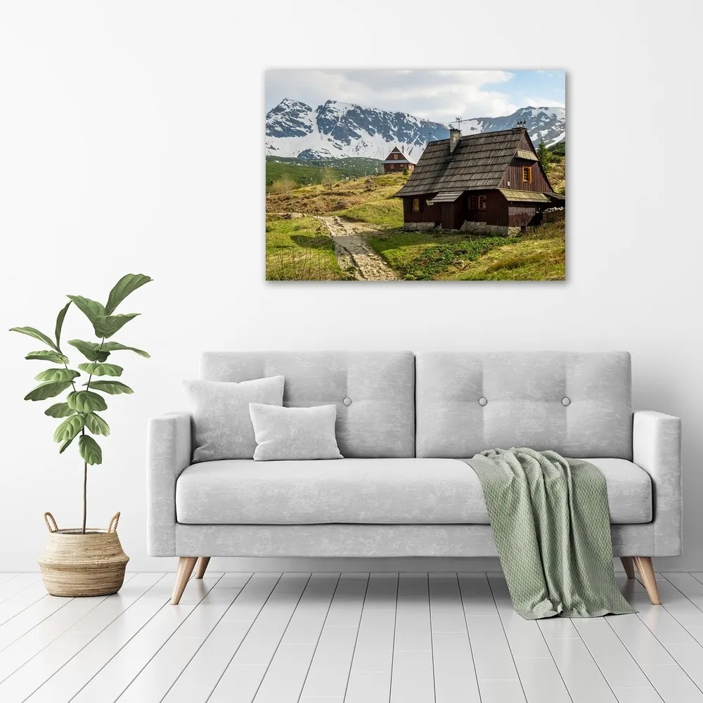 Tablou pe pânză Hale tatry