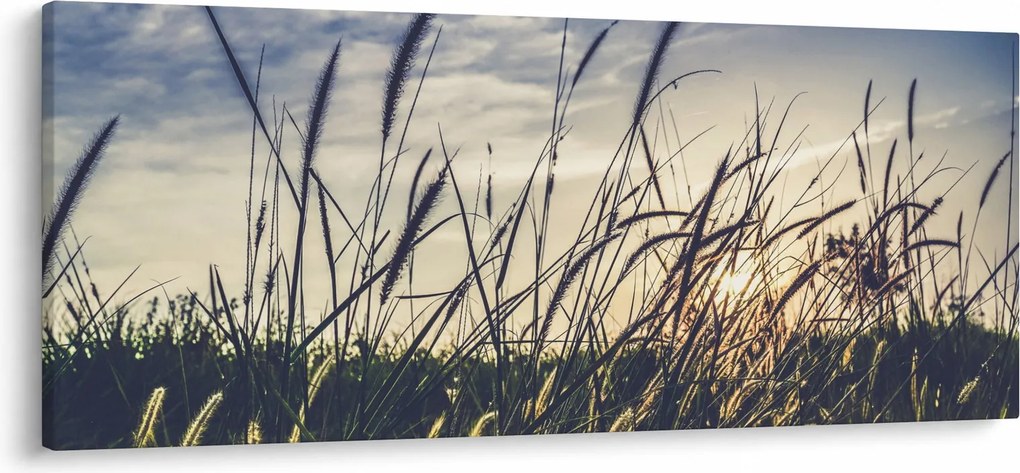 Tablou cu flori de câmp (120x50 cm)
